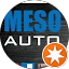 MESO auto Avatar